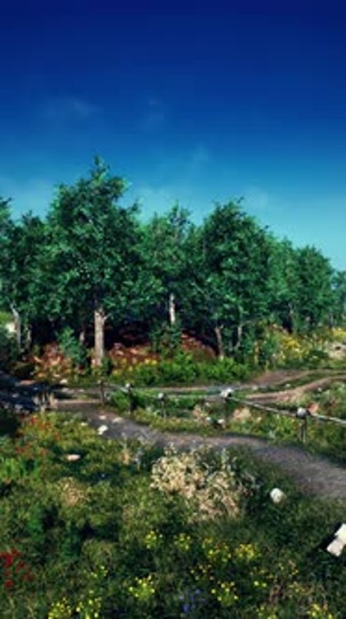 Summer Landscape in Mountains and the Dark Blue Sky