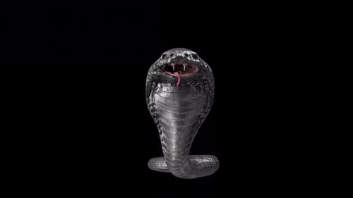 Attaque de serpent cobra
