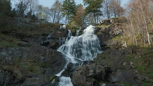Gebirgsfluss mit Wasserkaskaden und Wasserfall im Pinienwald