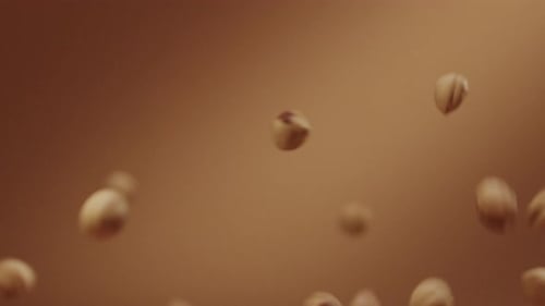 Hazelnuts Falling in Slow Motion Close Up