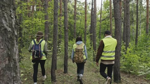 People in Safety Vests Walk Through Forest