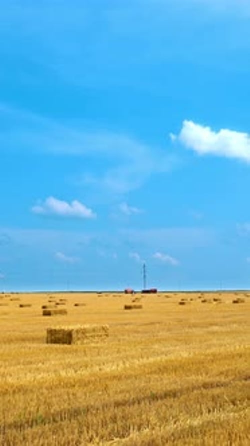 Field with straw bales.