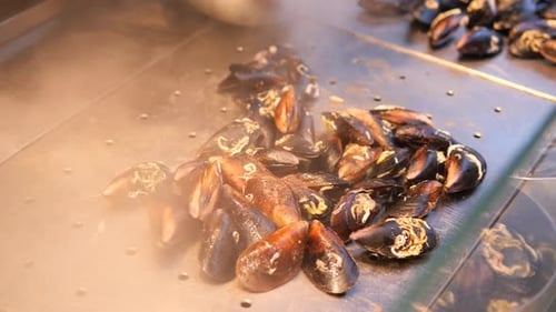 Close-up of steaming hot mussels being cooked