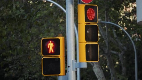Grünes Fahrradsignal, das Radfahrern an einer Kreuzung mit öffentlichem Verkehr die Vorfahrt anzeigt