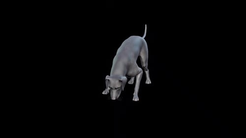 Animated 3D Dog Sniffing Ground