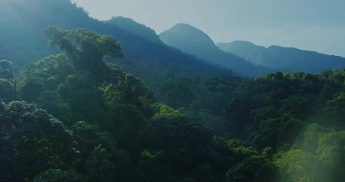 Warm Sunrise Glow Over Tropical Rainforest Hills Cinematic Drone View