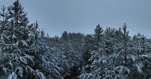 An Aerial View of a Frozen River Flowing Through Snowcovered Forests on a Cloudy Sunset Sky
