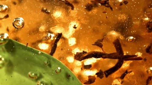 Aromatic Green Tea is Brewed Filmed on a Highspeed Camera at 1000 Fps