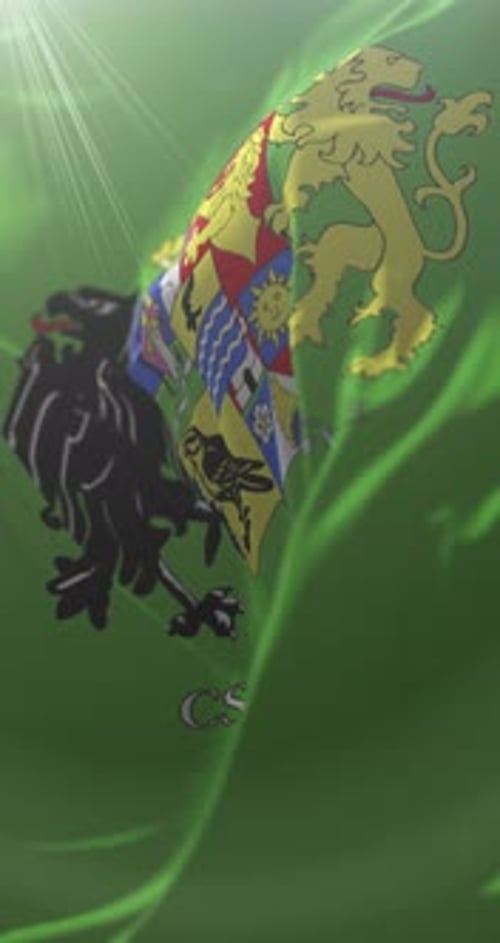 Waving Green Flag Animation with Detailed Coat of Arms