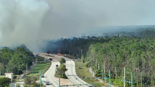 Fire Department Firetrucks Extinguishing Wildfire Burning Severely in Florida Jungle Woods Emergency