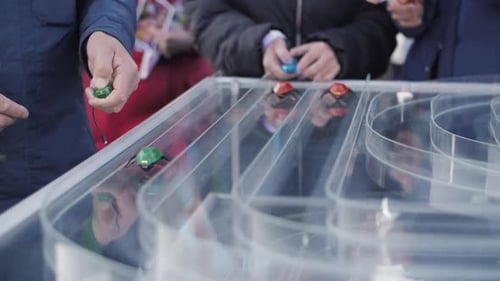 Remote Controlled Toy Bugs Racing on Maze Track