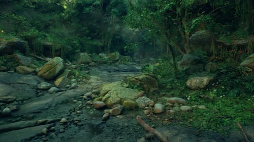 A Dirt Road Surrounded By Trees and Rocks