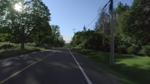 Driving Down a Road Lined with Green Trees