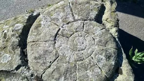 Stone carved ammonite fossil shell cut into large sandstone quarry boulder rock art rotating above