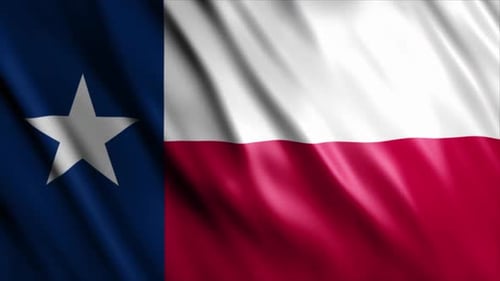 Seamless Loop Animation of Waving Texas Flag