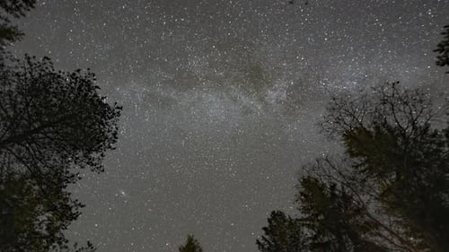 A timelapse of the magnificent night sky with a Milky Way and passing clouds. Dark silhouettes of th