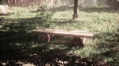 Old Shabby Wooden Bench in Park Made of a Single Tree Trunk