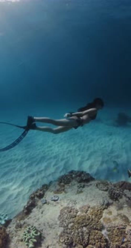 Freediver Woman with Diving Fins Glides Underwater in Tropical Blue Ocean