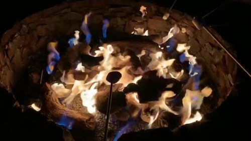 Several sticks roasting marshmallows over open flames. Camping. Outdoors. HD.
