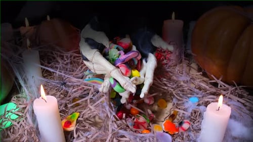 Hands of scary monster with bone fingers sharply grabs candies lying in Halloween decorations