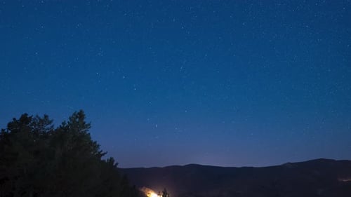 Time Lapse of Starry Sky in Night Forest