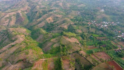 Aerial view of local hill with green plantation and village house