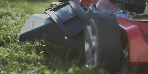 Recortadora cortando el césped