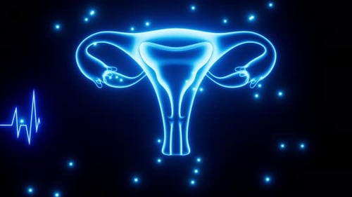 Neon Uterus Anatomy with Heartbeat Pulse Animation