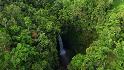 Waterfall Indonesia in a Dense Rainforest Top View