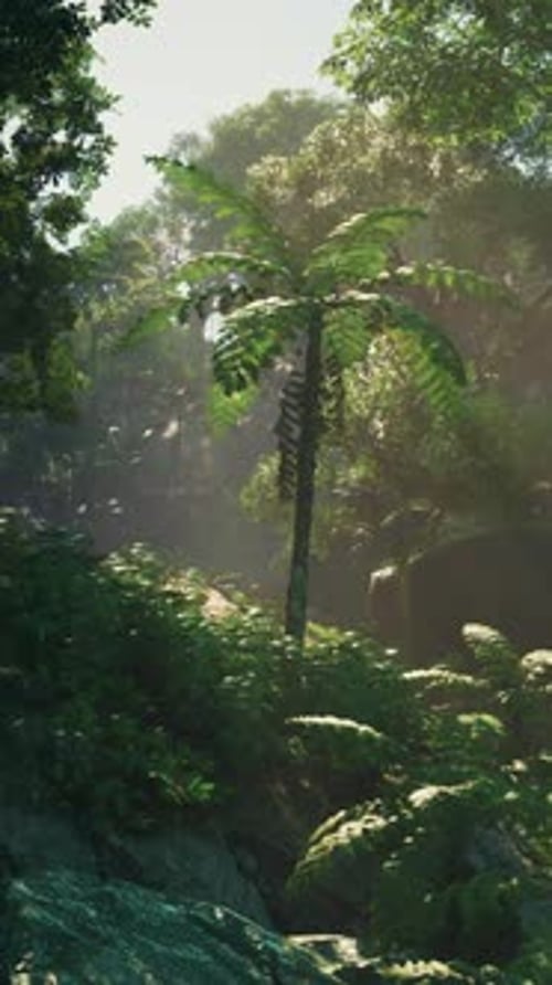Sunlights Symphony in the Enchanted Jungle