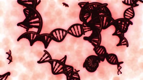 Animated DNA Double Helix and Blood Cells Flowing Medical Background