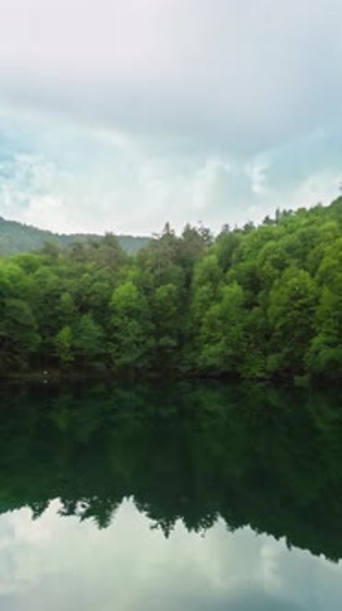 Vertical Forest and Lake 2K