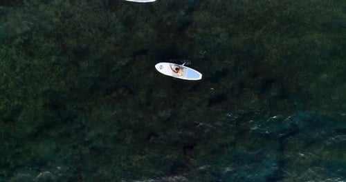 Top view of men on stand up paddleboards in crystal clear ocean water, overhead aerial