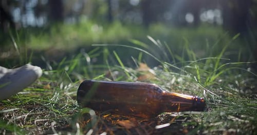 Una mujer con una bolsa de plástico recoge una botella de vidrio tendida en el césped mientras recoge basura en el