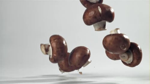 Button Mushrooms Falling in Slow Motion