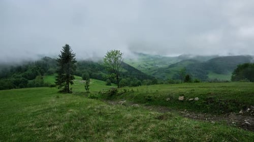 Mountain Landscape with Misty Weather and Lush Greenery Creates a Serene and Picturesque View
