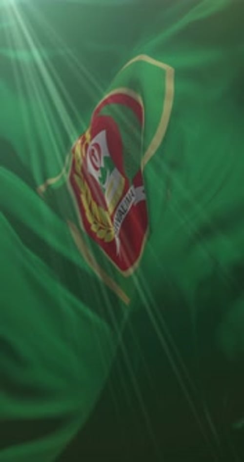 Waving Flag Fabric Logo Reveal Animation