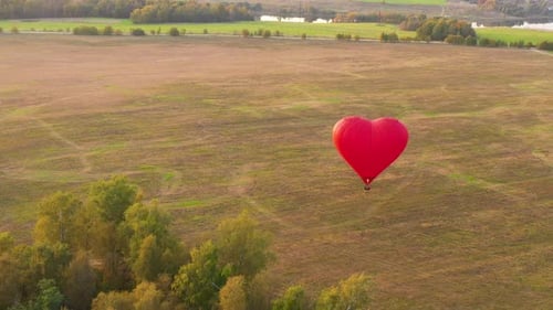 Romantic Heart Balloon Gliding Over Autumn Field