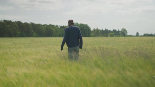 Man Walking in Wheat Field on a Windy Summer Day – Summer Nature Scene