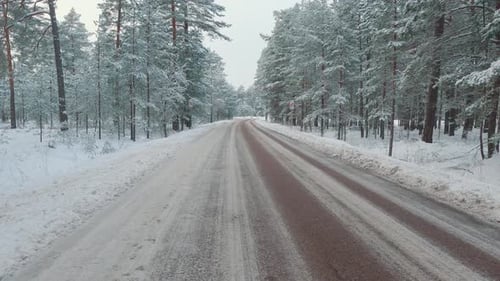 Winter Road Slow Motion, Snow Covered Trees and Snowy Forest, on a Dark, Cloudy, Winter Day.