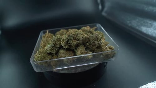 A close up detailed crane movement shot of a cannabis plant, marijuana flower in a clear plate, hybr