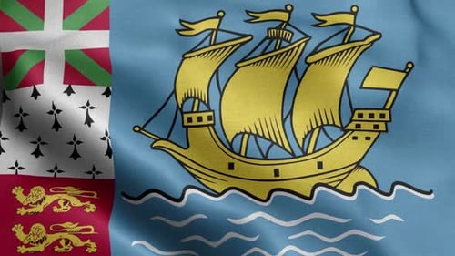 Fondo frontal ondulado con textura de la bandera de San Pedro y Miquelón