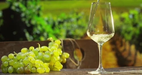 sommelier in vineyard pouring italian white wine in glass in slow motion
