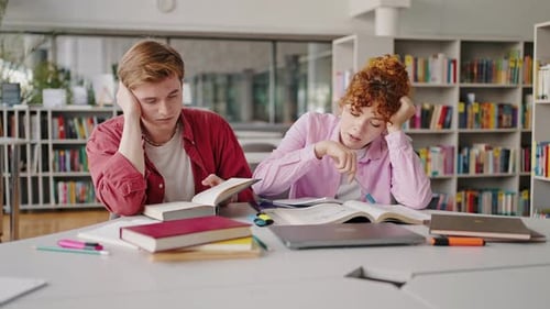 Two Students Studying Hard in the Library