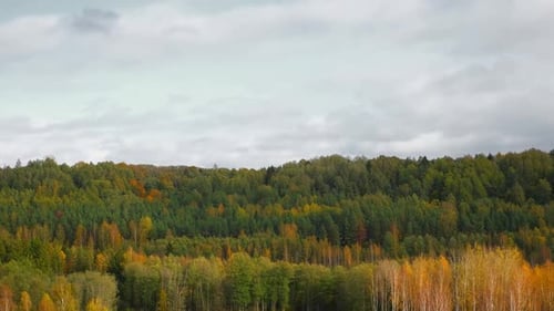 Late Autumn in a Wild Forest Area Low Rain Clouds Over Trees on the Horizon Aerial Drone Shot Winter