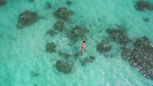 Aerial Drone Quadcopter of Young Woman Snorkeling,exploring Tropical Reef and Swimming