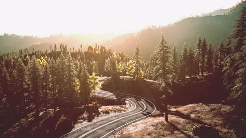 An Empty Road Winding Through a Serene Forest at Sunset Beautiful Sunset