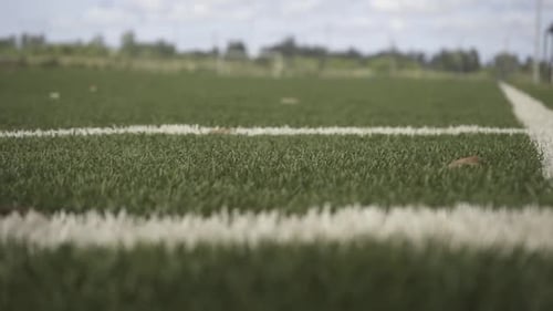 "Empty soccer field with artificial turf and white lines