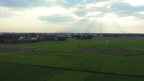 Farm, field and drone in landscape with houses, grass and countryside for agriculture with sky