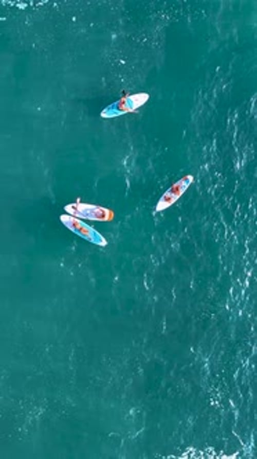 Vertical Video Paddleboarders Enjoy the Summer SUP Festival on the Mediterranean with Scenic Cliffs